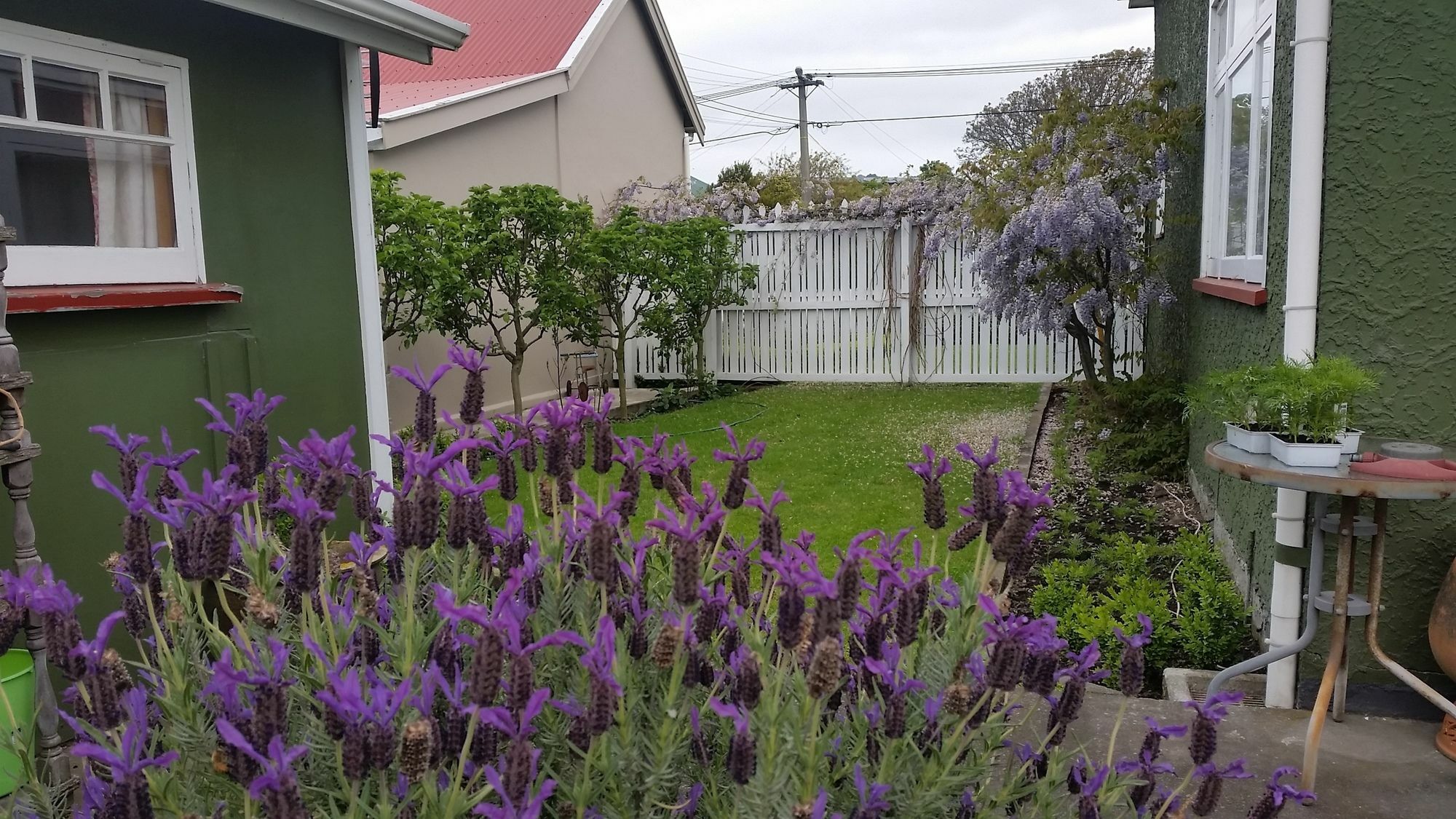 Designer Cottage Christchurch Exteriör bild