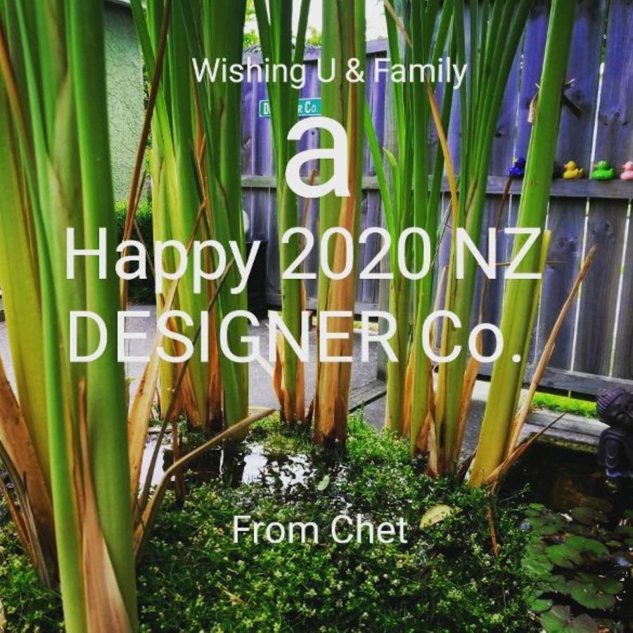 Designer Cottage Christchurch Exteriör bild